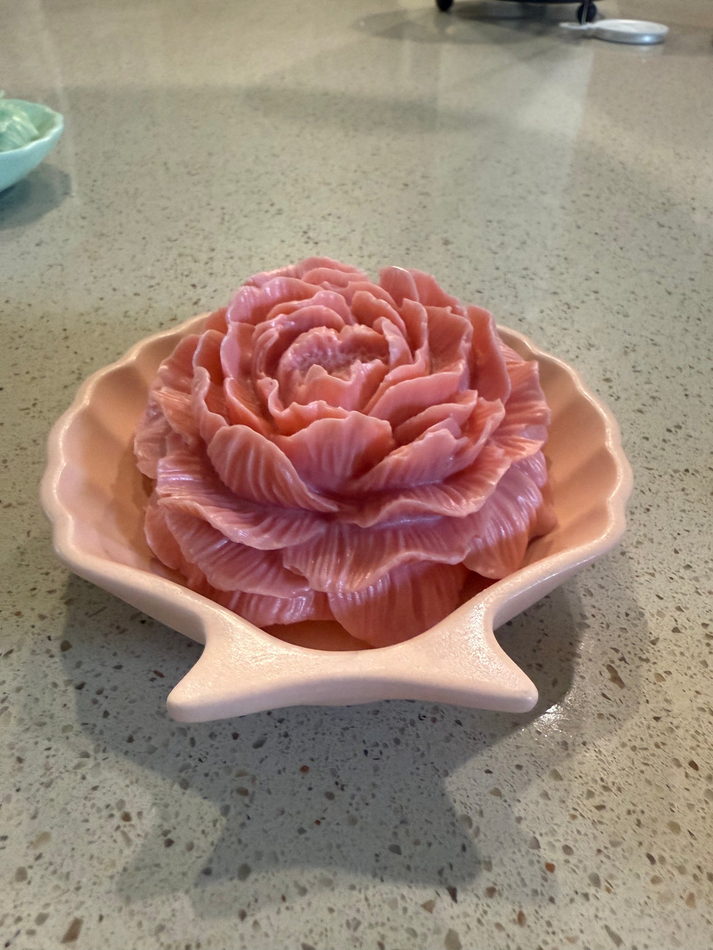 Shell of Flower
