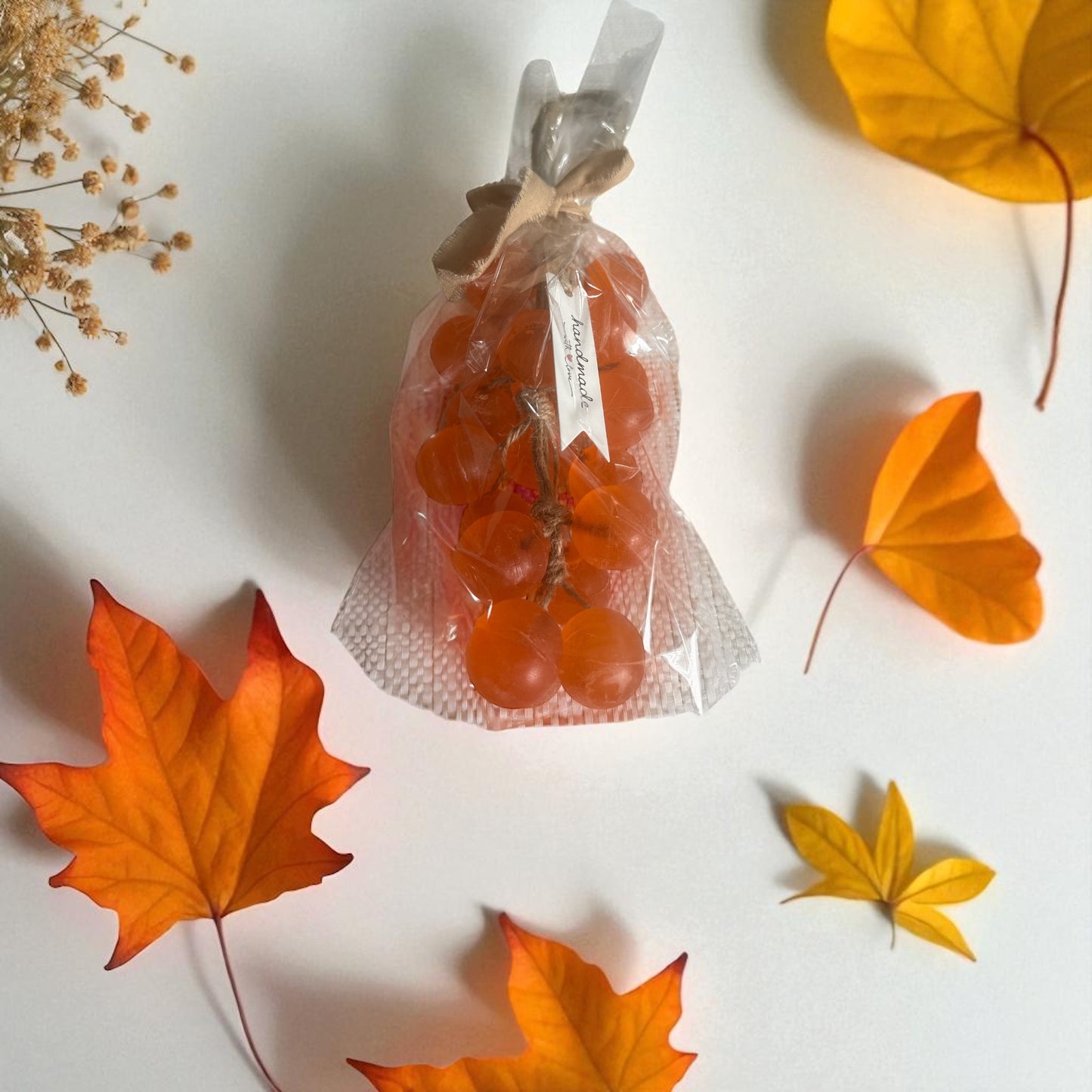 🍂🍊 Fall on a Vine 🍏🍇